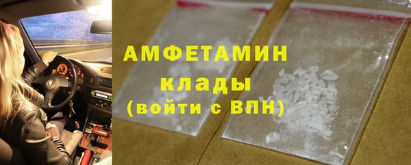 мдпв Гусев