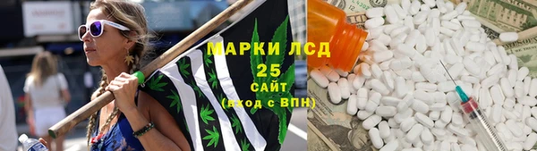 соль ск Дмитриев