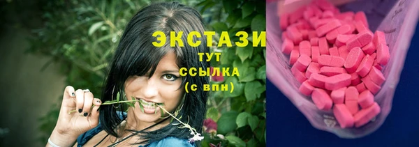 соль ск Дмитриев
