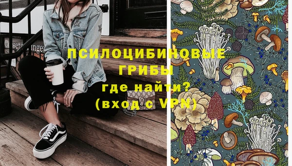 соль ск Дмитриев
