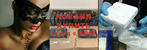 соль ск Дмитриев