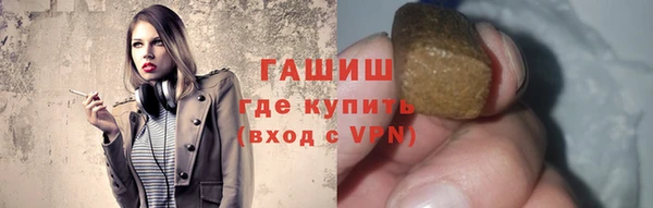 мдпв Гусев