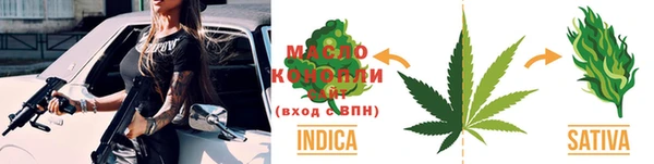 соль ск Дмитриев