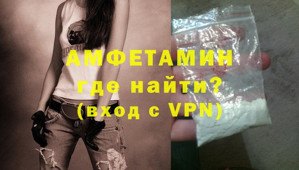 соль ск Дмитриев
