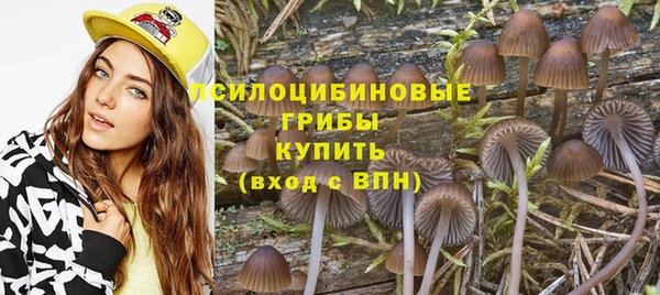 экстази Дмитровск