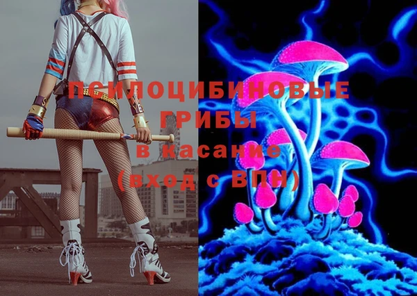 соль ск Дмитриев