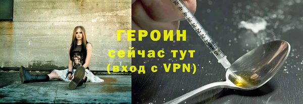 соль ск Дмитриев